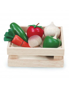 Wonderworld Houten Kistje...