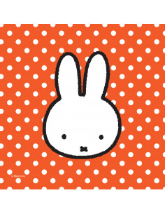 Nijntje Servetten, 20st.