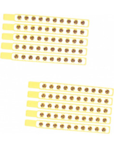 Klappers 10-Schots 10 Stuks BT