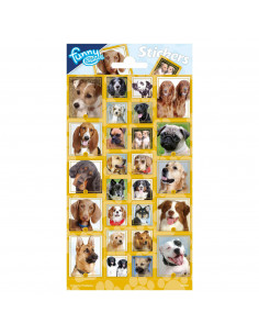 Stickervel Honden