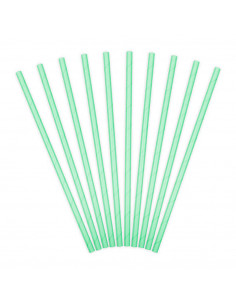 Papieren Rietjes 16 Stuks Mint