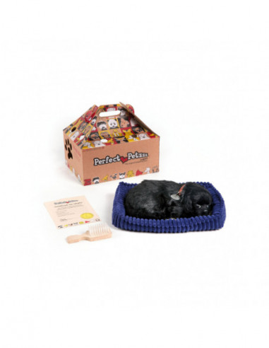 Perfect Petzzz Soft Black Lab