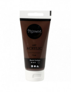 Pigment Art Acrylverf Burnt...