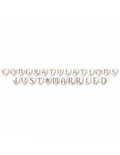 Just Married Banner 2st.