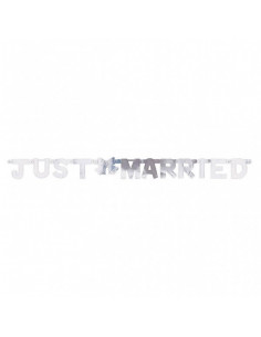 Banner Zilver Just Married