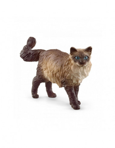 Schleich Ragdoll Kat