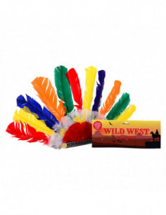 Wild West Indianentooi
