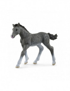 Schleich Trakehner Veulen