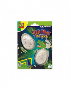 SES Explore - Groeiende...