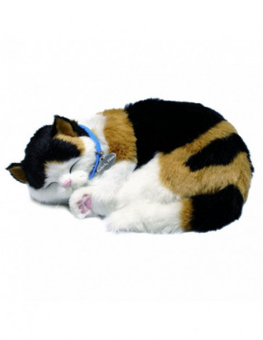 Perfect Petzzz Soft Lapjeskat