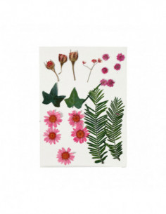 Gedroogde Bloemen en...