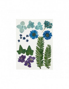 Gedroogde Bloemen en...