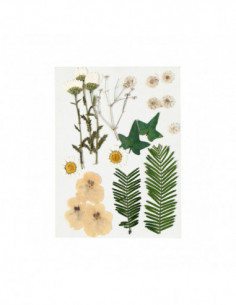 Gedroogde Bloemen en...