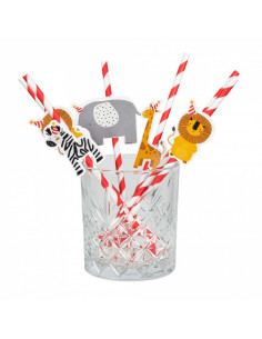 Rietjes Safari Papier 6 Stuks