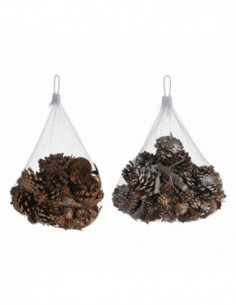 Dennenappels met Boomschors