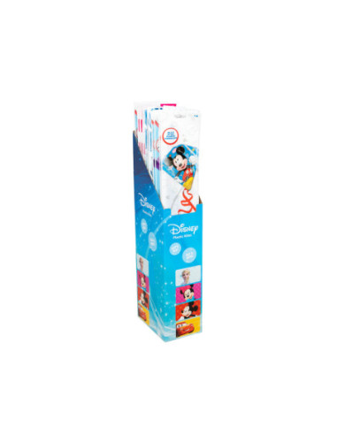 Eolo Vliegers Disney Display 24st.