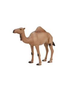 Mojo Wildlife Arabische...