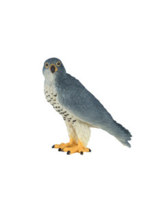 Mojo Wildlife Slechtvalk -...