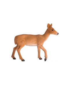 Mojo Wildlife Witstaarthert...