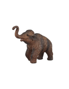 Mojo Prehistorie Wolharige...