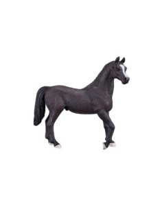 Mojo Horse World Arabische...