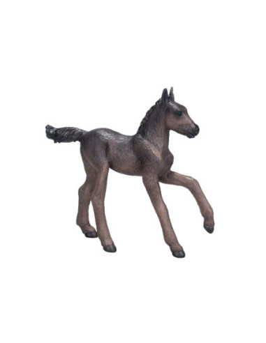 Mojo Horse World Arabisch Veulen...