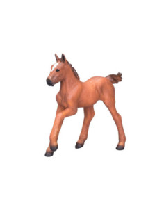 Mojo Horse World Arabisch...