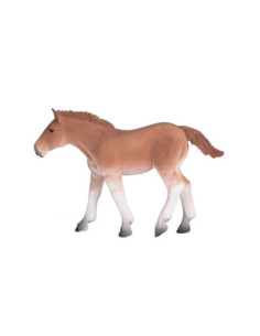 Mojo Horse World Suffolk...