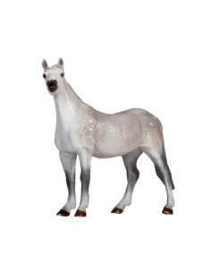 Mojo Horse World Orlov...