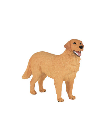 Mojo Farmland Golden Retriever - 387198