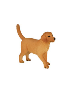 Mojo Farmland Golden...