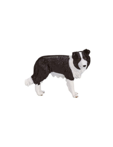 Mojo Farmland Border Collie - 387203