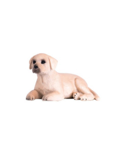 Mojo Farmland Labrador...