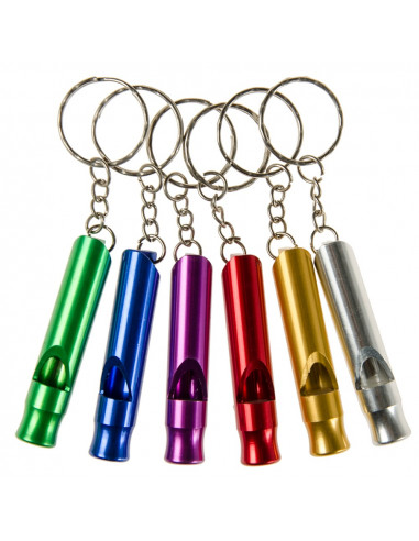 Sleutelhanger met Fluit 12st.