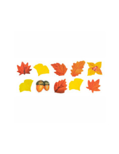 Colorations - Washi...