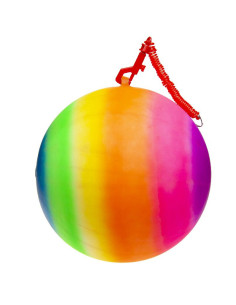 Regenboog Bungeebal
