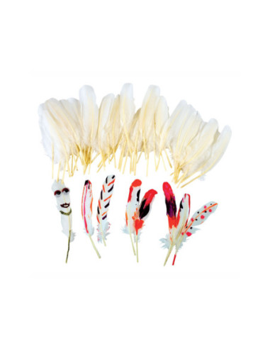 Colorations - Natuurlijke Witte Veren...