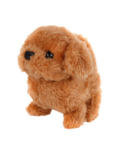 Take Me Home Interactieve...