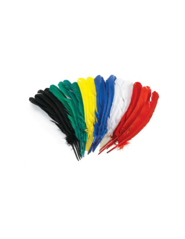 Colorations - Veren 30cm Set van 24