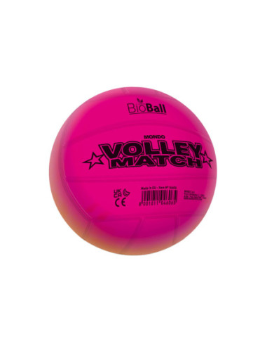 Mondo Volleybal Regenboog 22cm