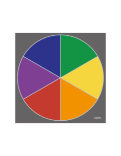 Speelkleed Primaire...