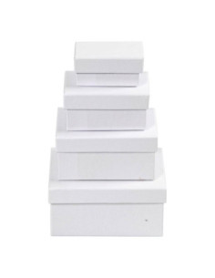 Rechthoekige Dozen Wit met...