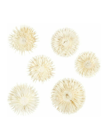 Gedroogde Bloemen