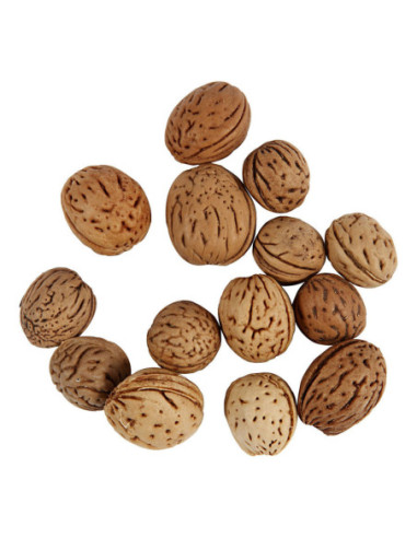 Noten 25 gram