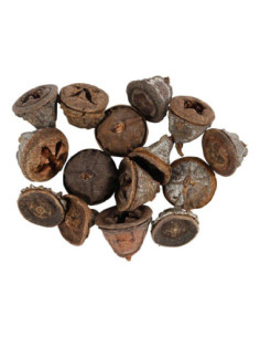 Larikskegels 25 gram