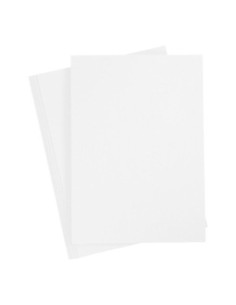 Karton Wit A4 220g 10st.