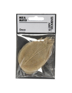 Skeleton Leaves Naturel...