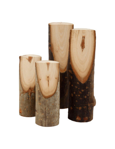 Decoratieve Boomstam Divers 4st.