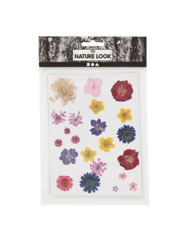 Gedroogde Bloemen en Bladeren Diverse...