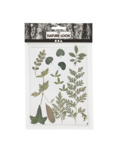 Gedroogde Bloemen en...